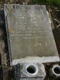 image of grave number 239329